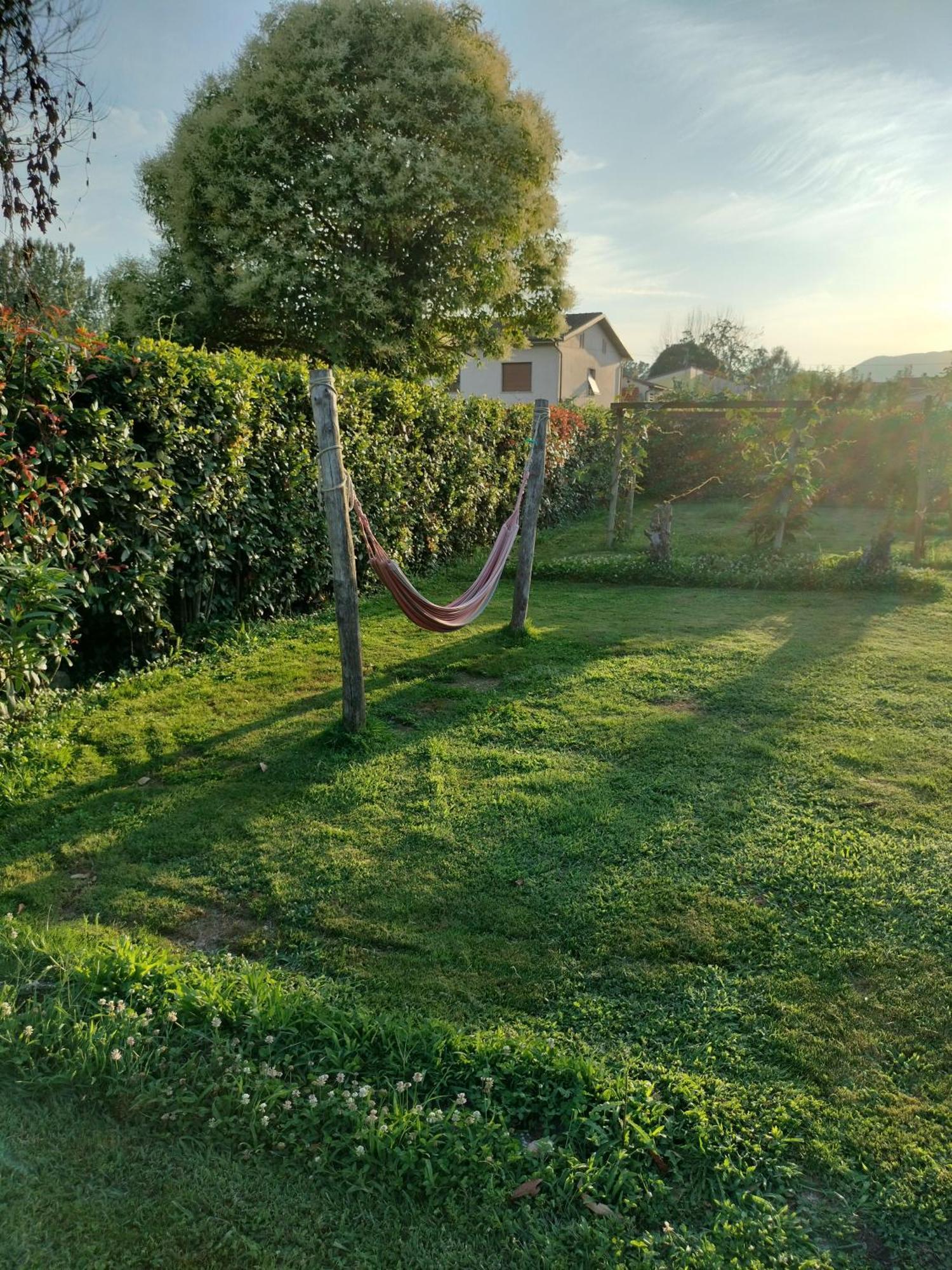 B&B La Rosa Nel Verde ルッカ エクステリア 写真